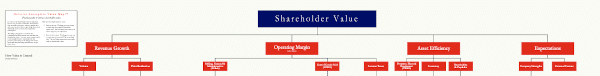 Deloitte Value Map