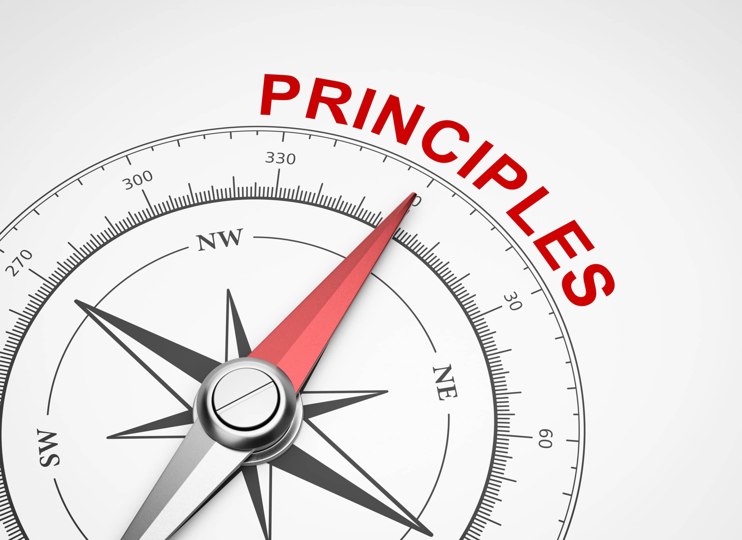 Enterprise Architecture Principles