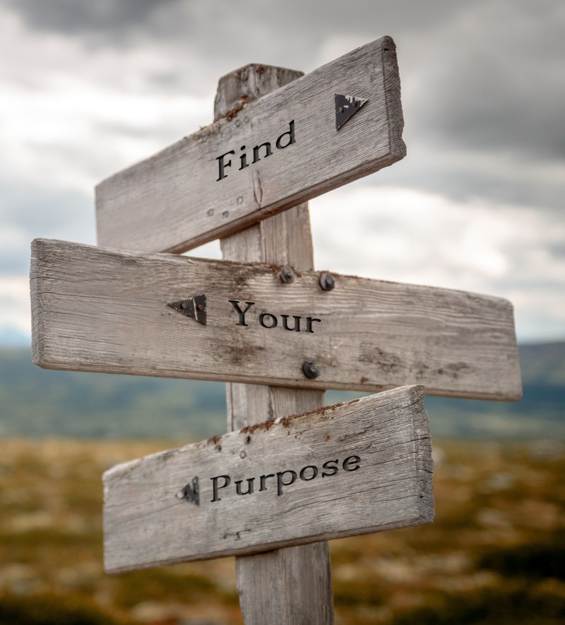 Find your EA Team Purpose