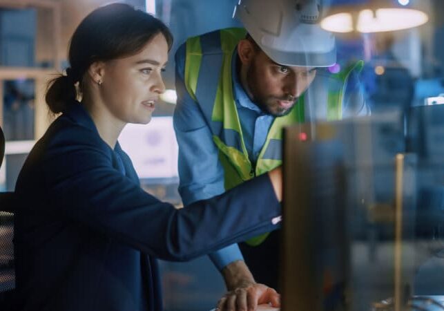 Solution Architect