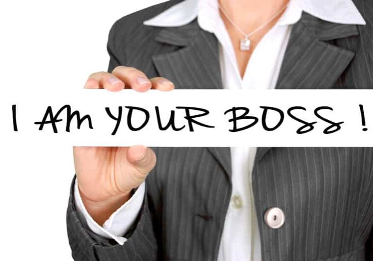 Who does an enterprise architect work for